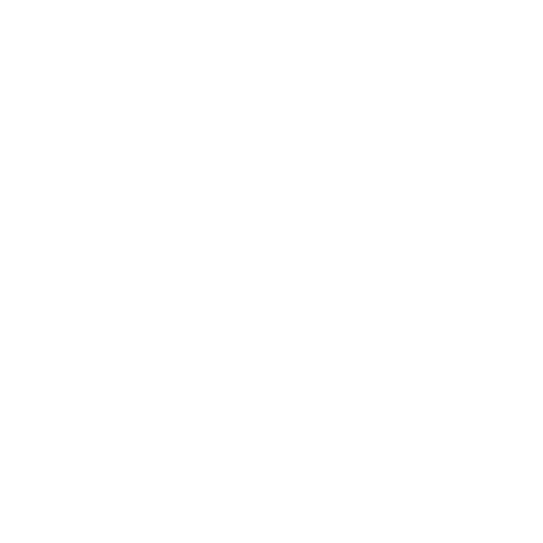 Transporter Explorer Logo
