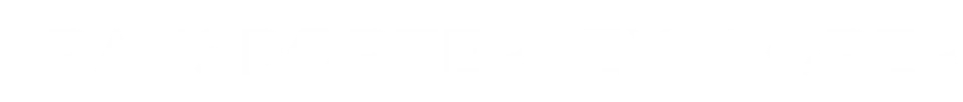 Transporter Explorer Logo Weiß